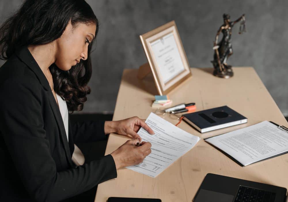 Professional Lawyer